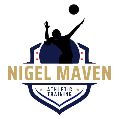 Nigel Maven Logo
